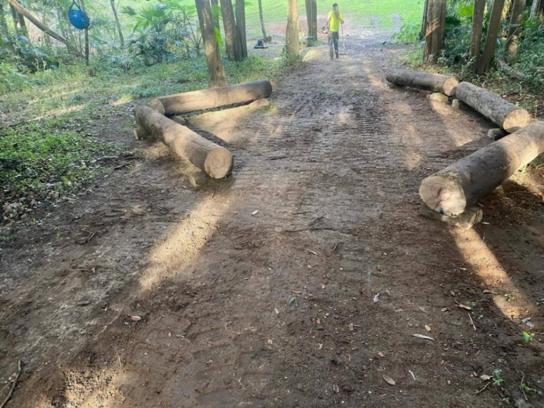 Dirt Path With Logs Forming Obstacles — All Tree Solutions In HOLGATE, NSW