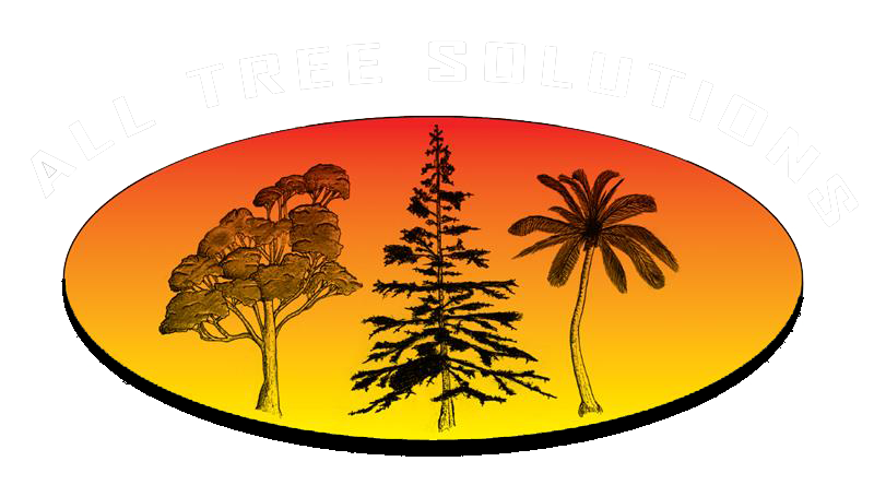 Professional Arborist on the Central Coast