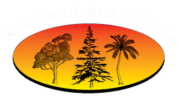 Professional Arborist on the Central Coast