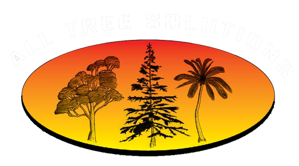Professional Arborist on the Central Coast