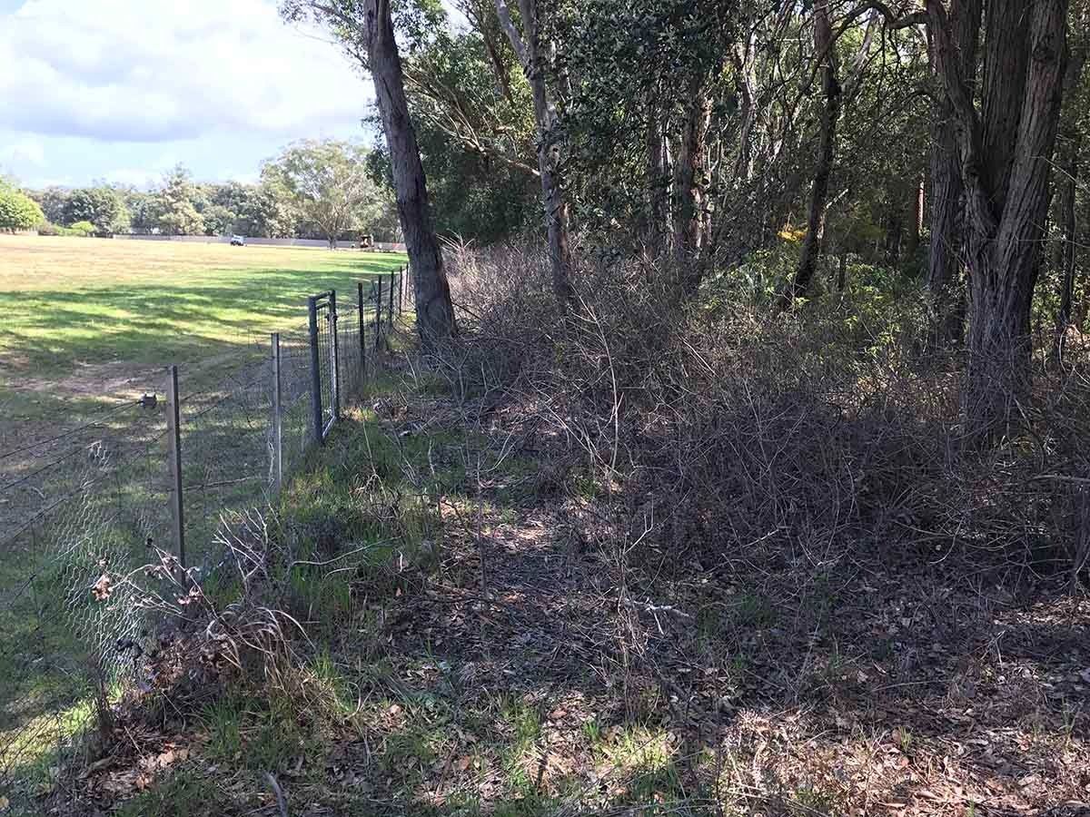 Fence Lines Separate a Grassy Field From a Wooded Area — All Tree Solutions In Ourimbah, NSW