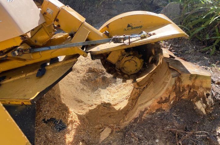 Yellow Stump Grinder Grinding a Tree Stump Into Wood Chips — All Tree Solutions In Ourimbah, NSW