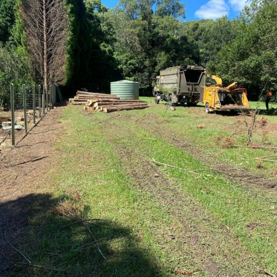 Clearing a Grassy Yard — All Tree Solutions In HOLGATE, NSW