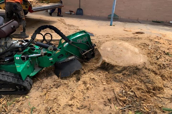 Green Stump Grinder Grinding Down a Tree Stump in a Sandy Area — All Tree Solutions In Bateau Bay, NSW