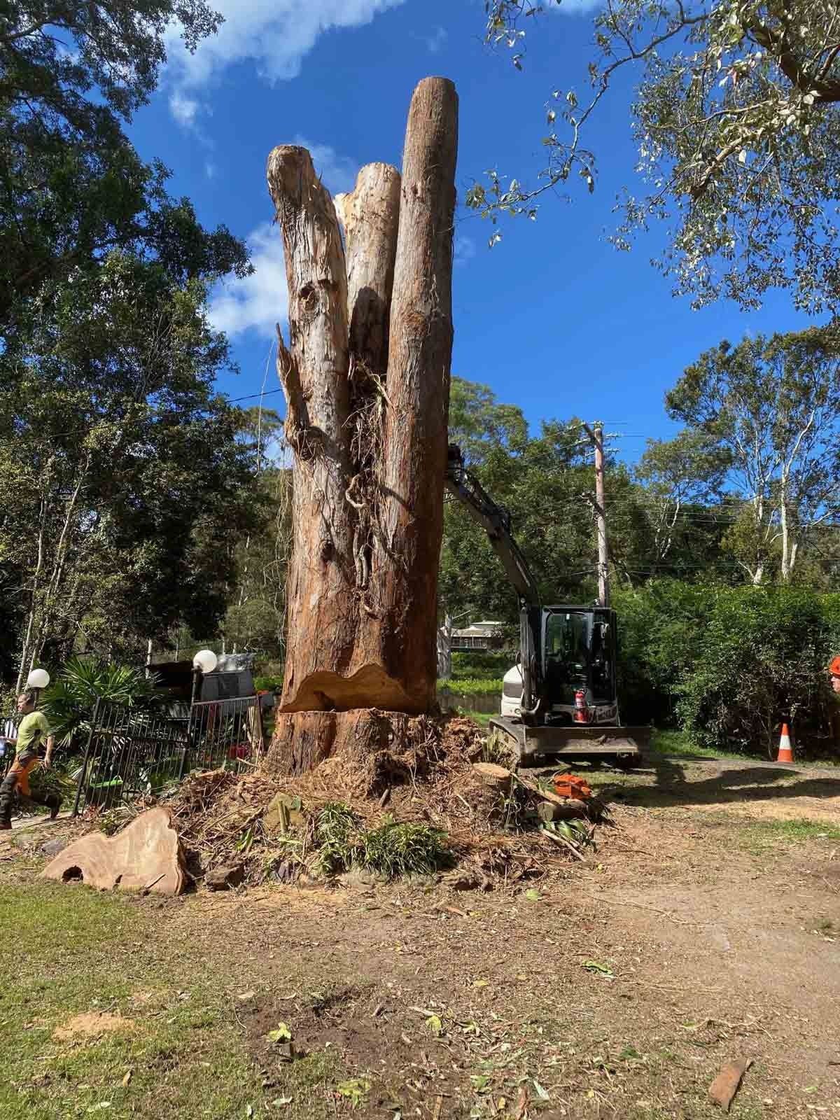 Tree Trunk Being Trimmed by a Machine in a Grassy Area — All Tree Solutions In Matcham, NSW