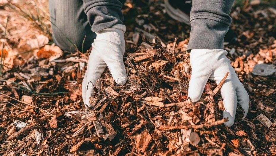 Hands in White Gloves in Wood Chips — All Tree Solutions In Warner Vale, NSW