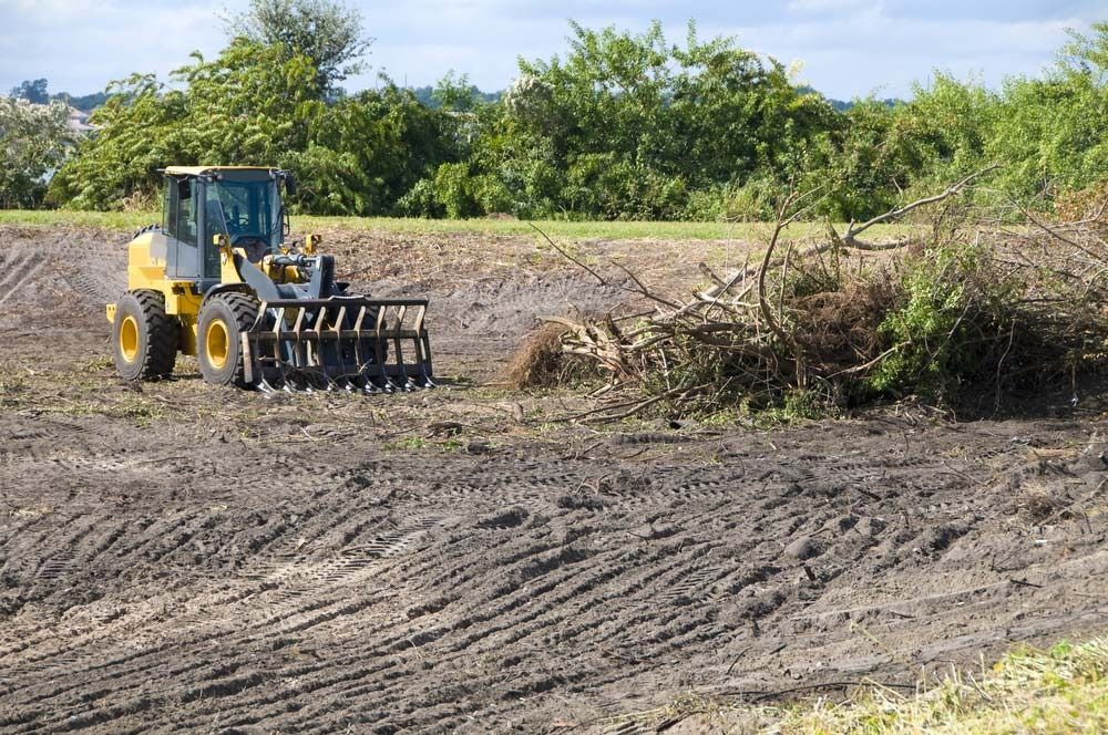 Yellow Loader Machine Clearing Brush From a Brown Field — All Tree Solutions In HOLGATE, NSW