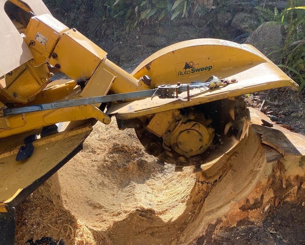 Yellow Stump Grinder Removing a Tree Stump — All Tree Solutions In HOLGATE, NSW