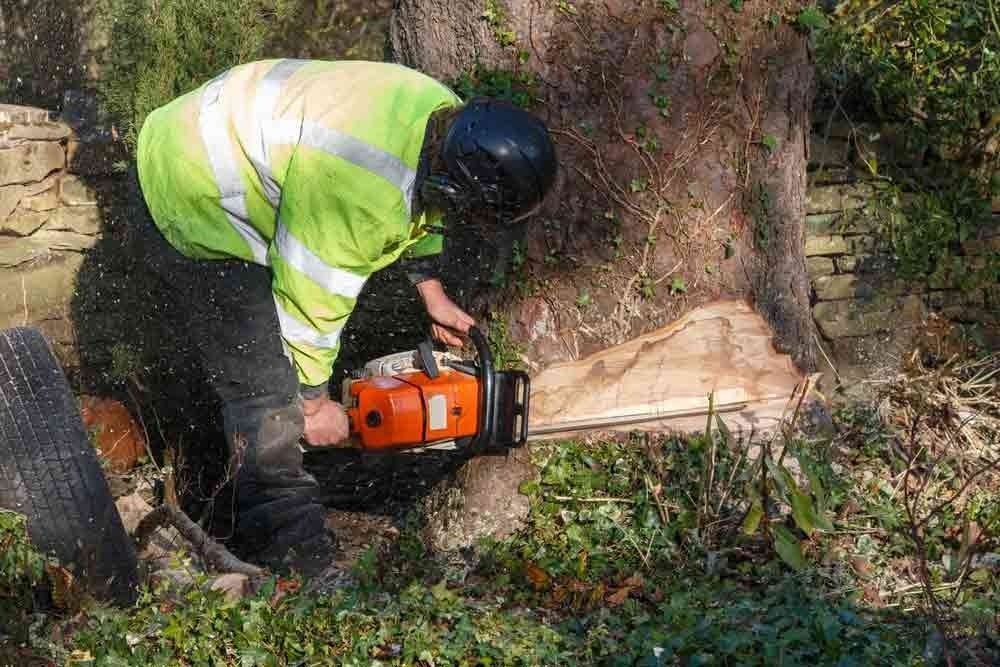 Arborist in Safety Gear Using a Chainsaw — All Tree Solutions In HOLGATE, NSW