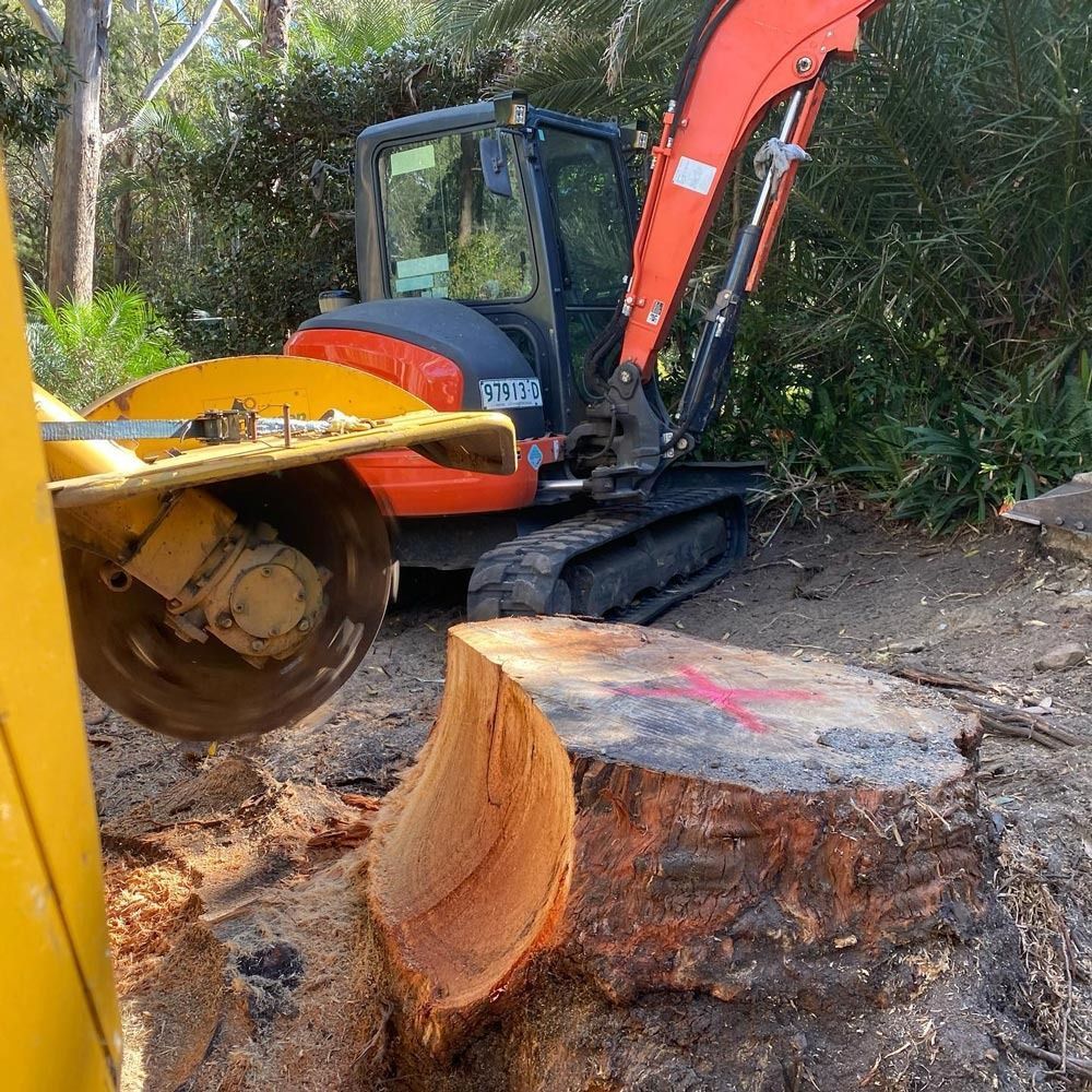 An Excavator With an Orange Arm Grinding a Tree Stump — All Tree Solutions In HOLGATE, NSW
