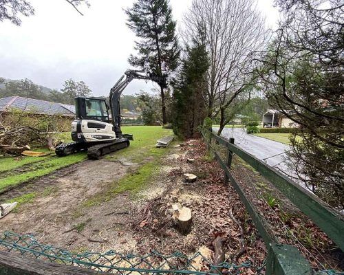 An Excavator Trimming a Hedge Next to a Fence and Driveway — All Tree Solutions In North Avoca, NSW
