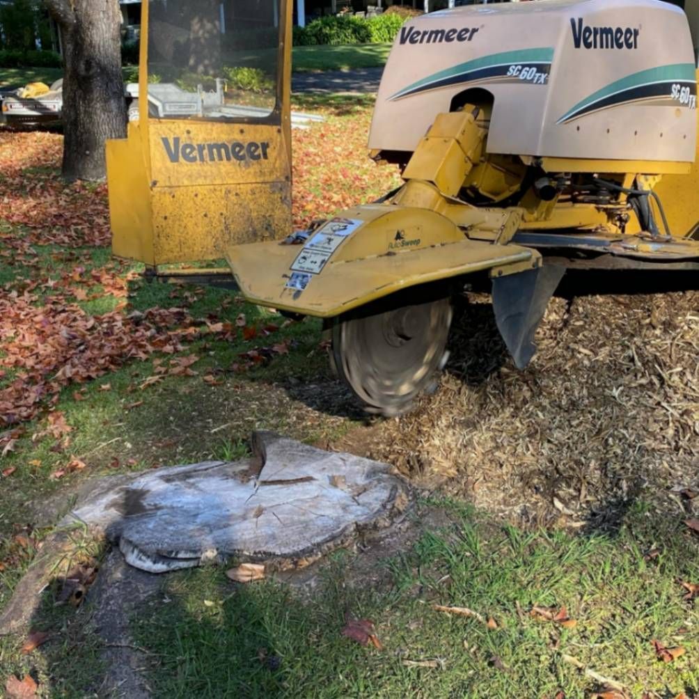 Yellow Vermeer stump grinder grinding a tree stump in a yard — All Tree Solutions In HOLGATE, NSW