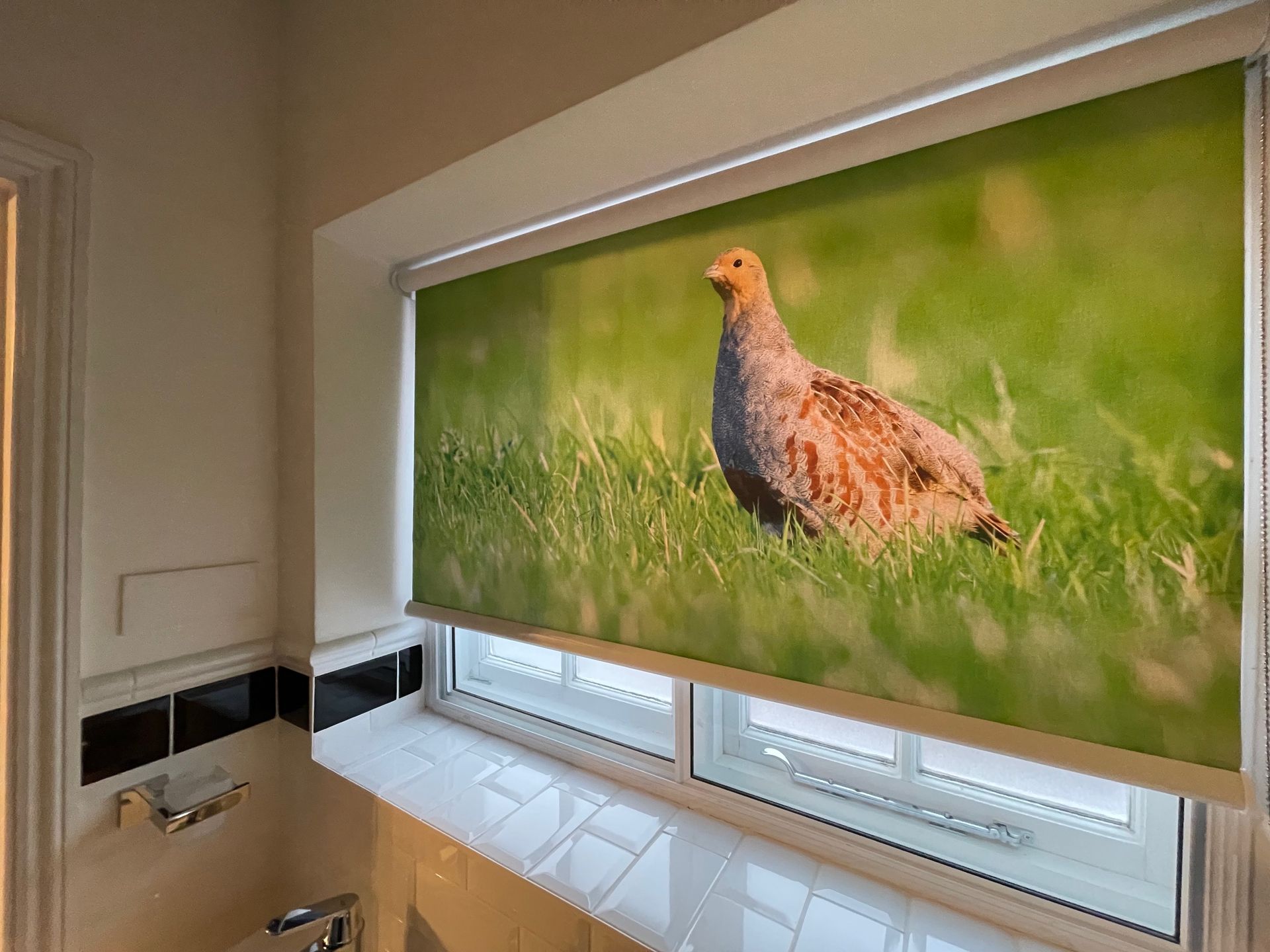 Semi-transparent roller blind with designer image 
