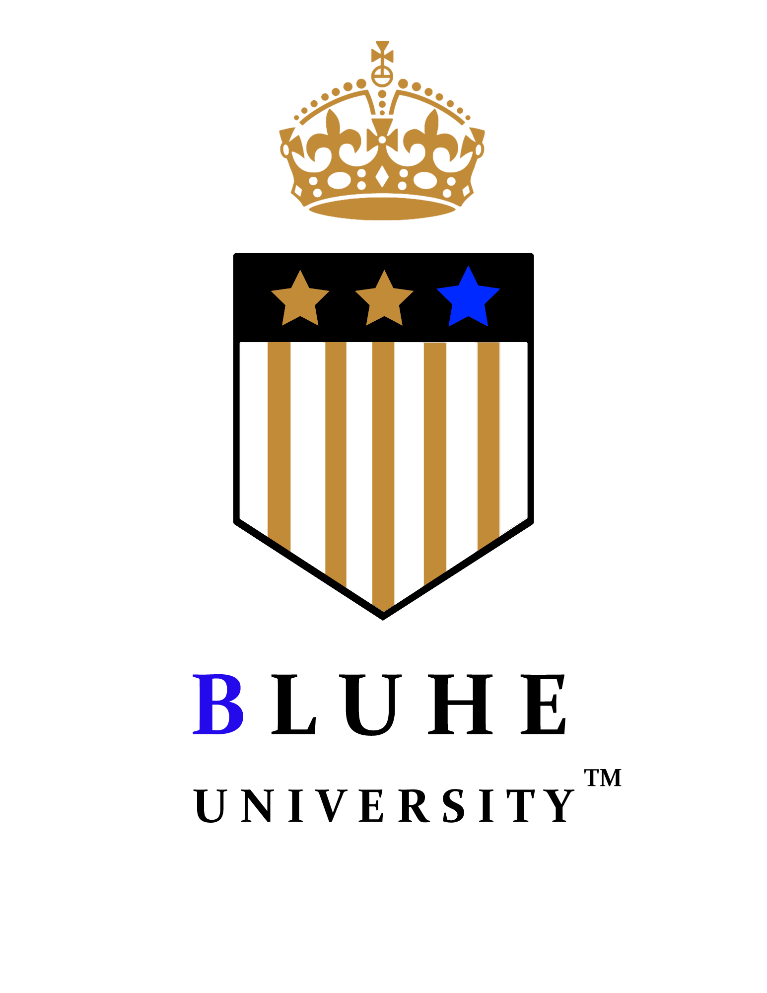 The logo for bluhe university is a shield with a crown and three stars on it.