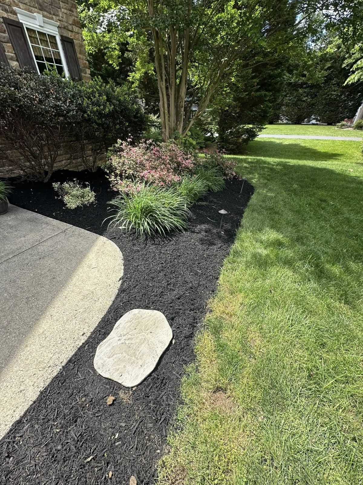 Black mulched garden bed with plants, stepping stone, next to a sidewalk and green lawn.