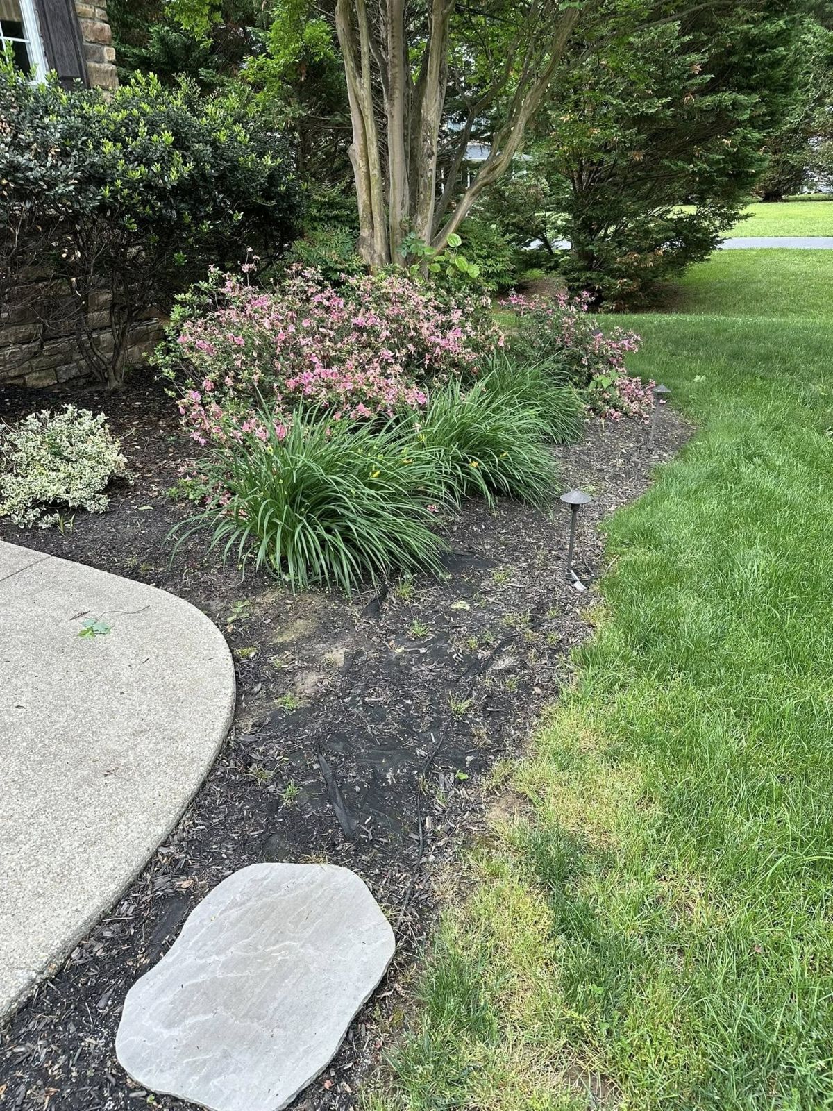 Lush garden bed with pink flowers, green plants, and dark mulch bordering a grassy lawn. Stone pathway.