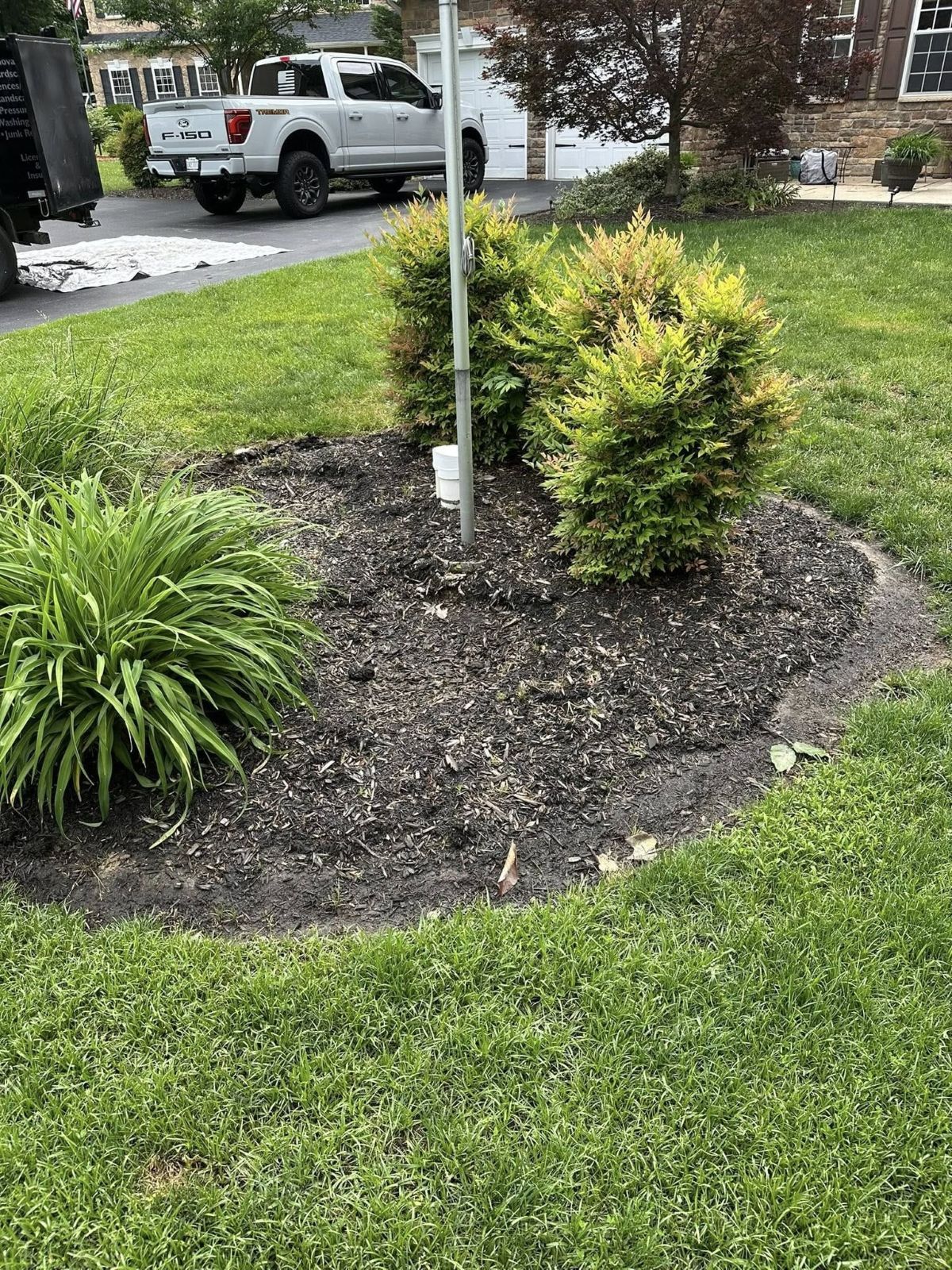 Green lawn with a mulched flower bed. Green bushes and flag pole are in the bed. A white truck is in the background.
