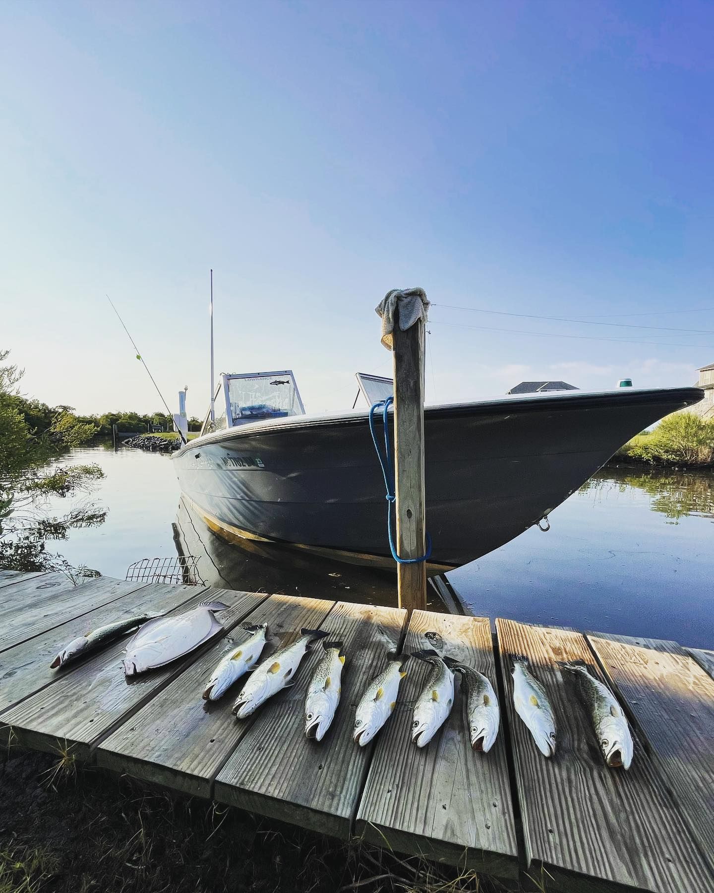 A bunch of fish are sitting on a wooden dock next to a boat.