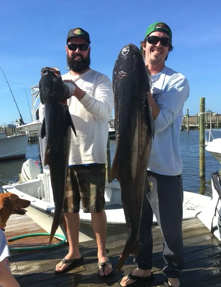 Two men are standing on a dock holding two large fish.