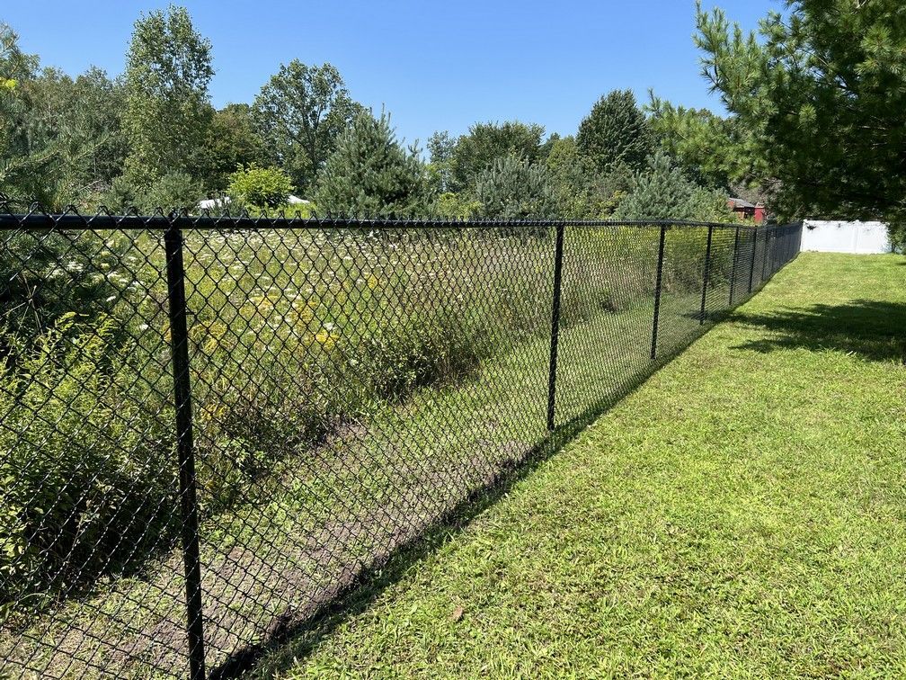 A black chain link fence surrounds a lush green field.