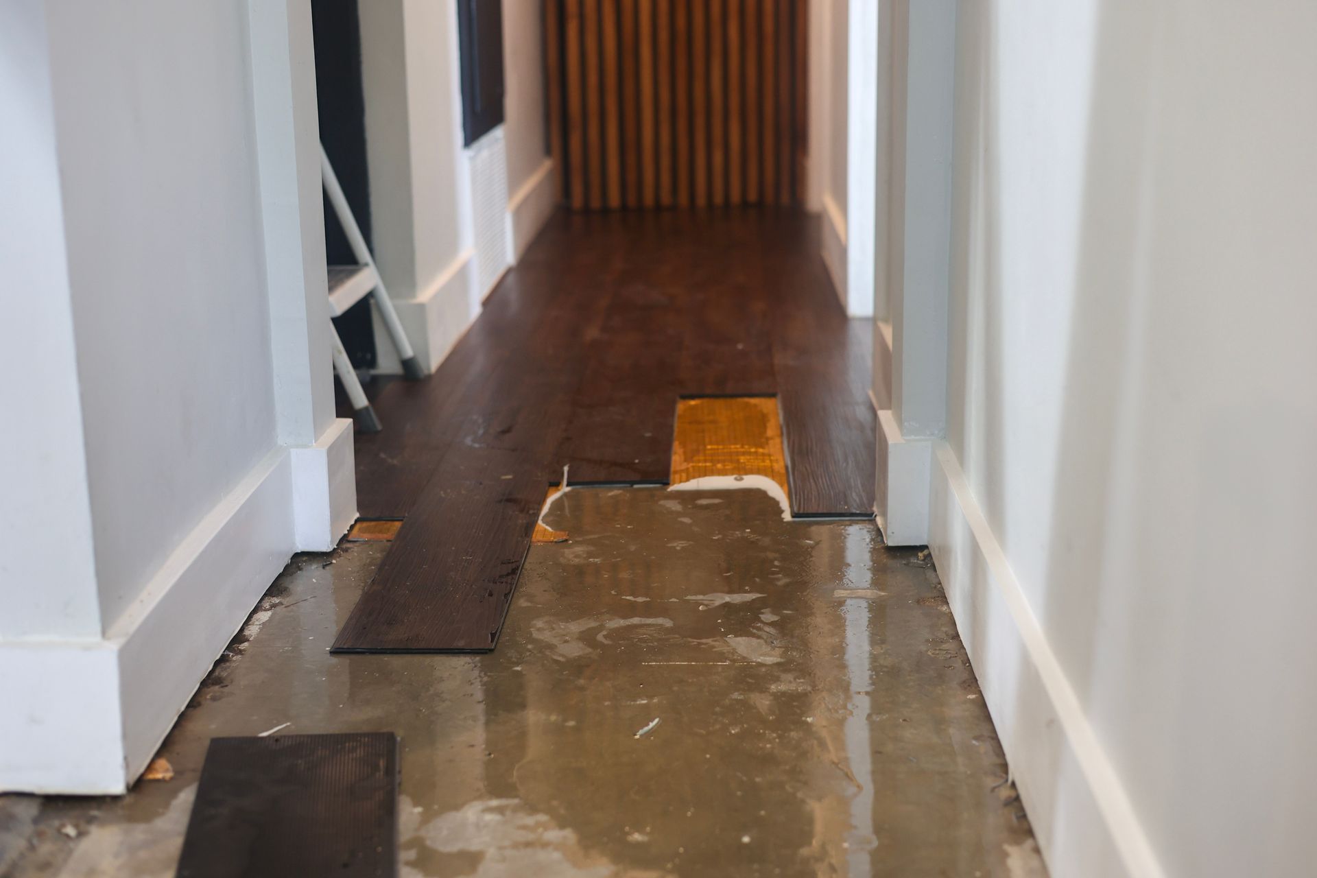 Water damaged hallway floor with lifted wood planks. Water damaged hallway floor with lifted wood planks.