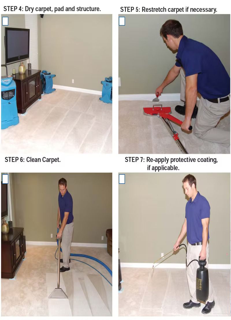 Four-step carpet cleaning guide: drying, stretching, cleaning, and applying protection. Men work on carpet in a living room.