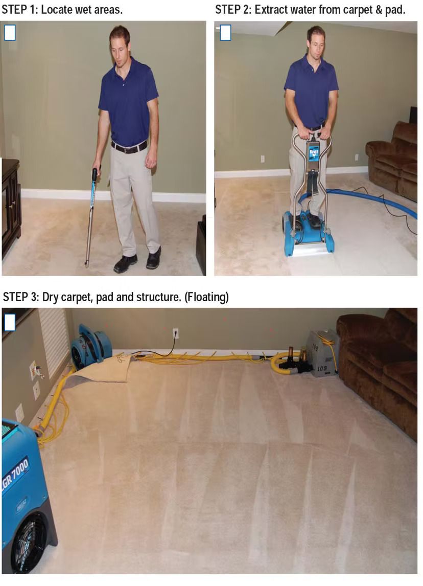 Man cleaning carpet with a machine. Steps: locate stains, extract water, dry and vacuum.