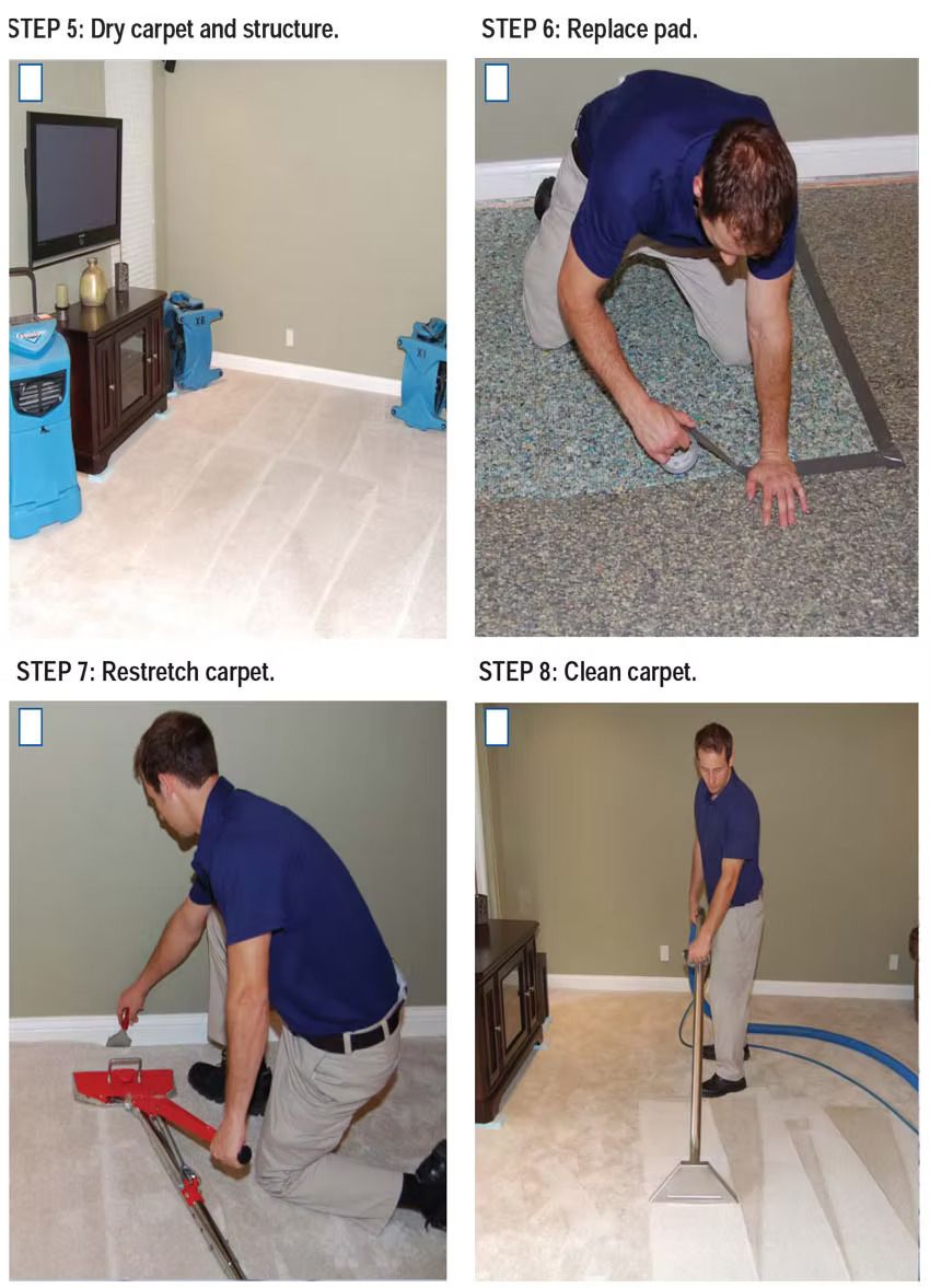 Steps of carpet restoration: drying, replacing pad, removal, and cleaning.
