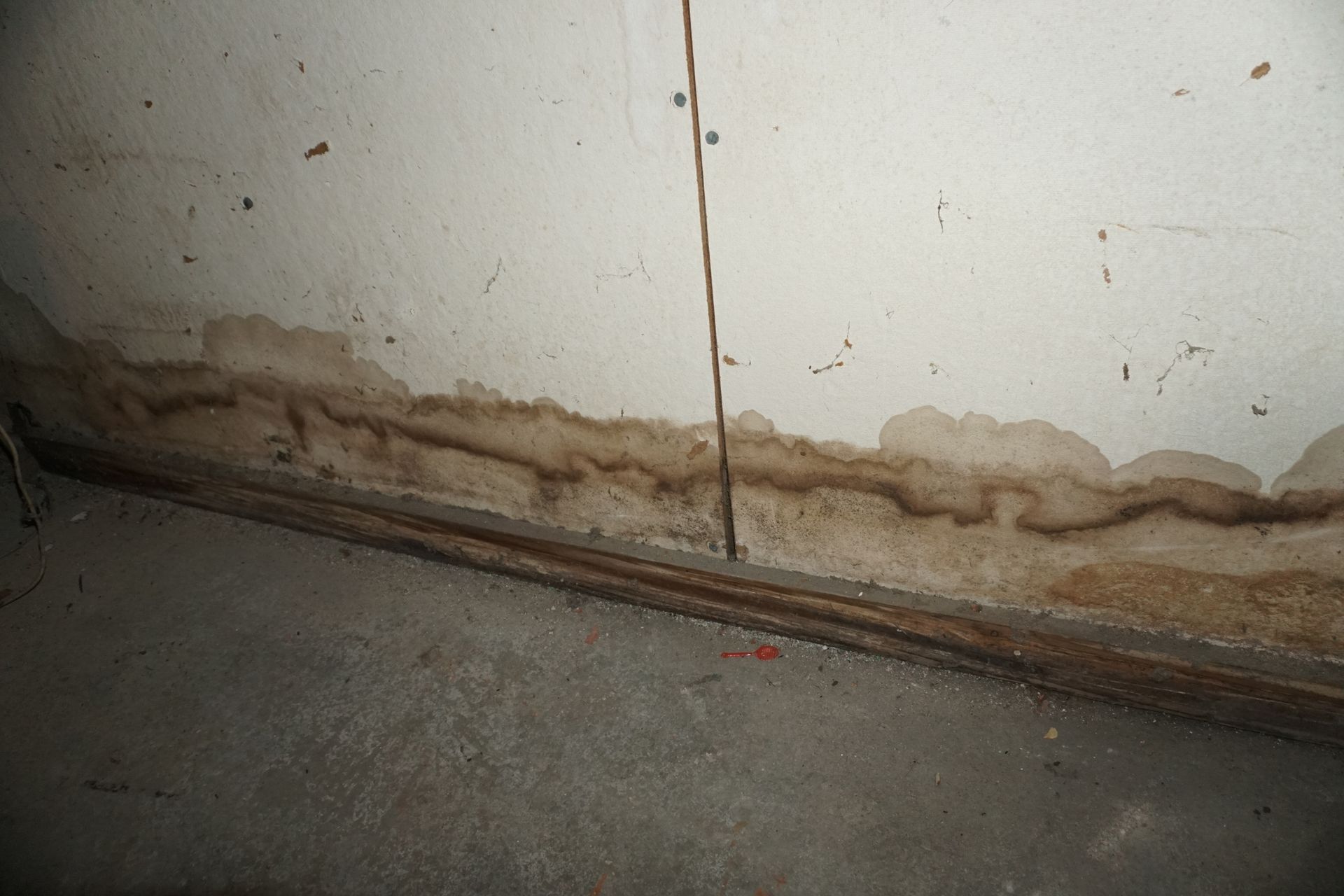 Water damage staining a wall in a damp, concrete basement.