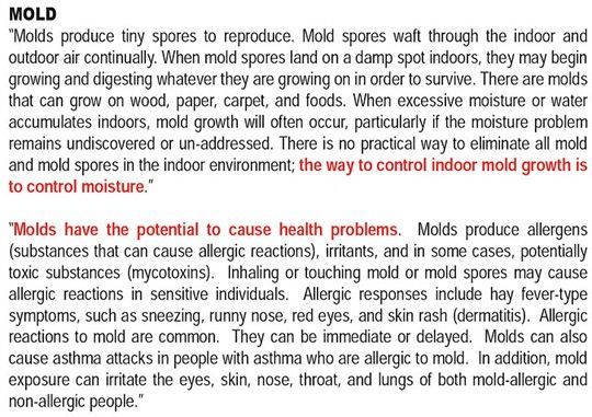 Text about mold, its growth, and health effects. Text about mold, its growth, and health effects.