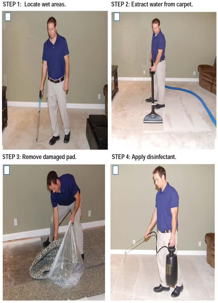 Man cleaning carpet: Locate, extract water, remove damaged part, apply disinfectant.