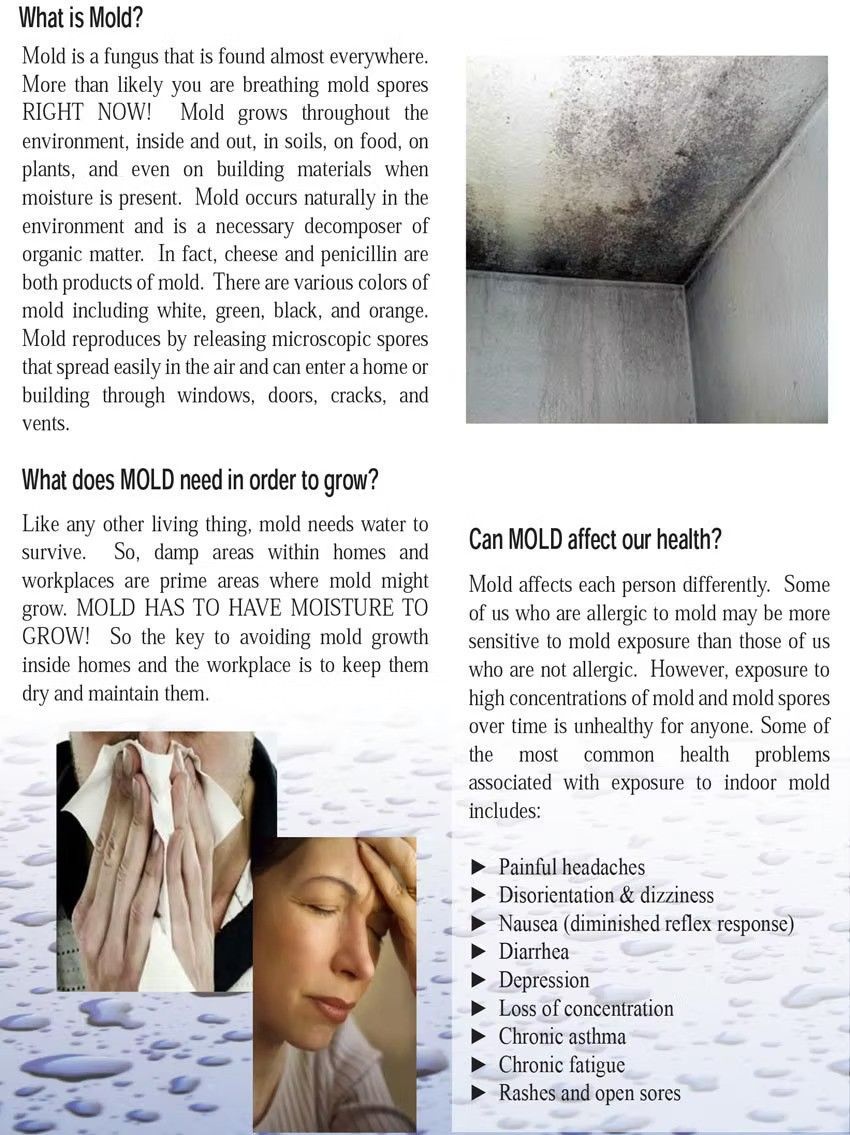 Mold on wall and ceiling. Woman with facial expressions, potential allergy symptoms, and list of health issues. Mold on wall and ceiling. Woman with facial expressions, potential allergy symptoms, and list of health issues.