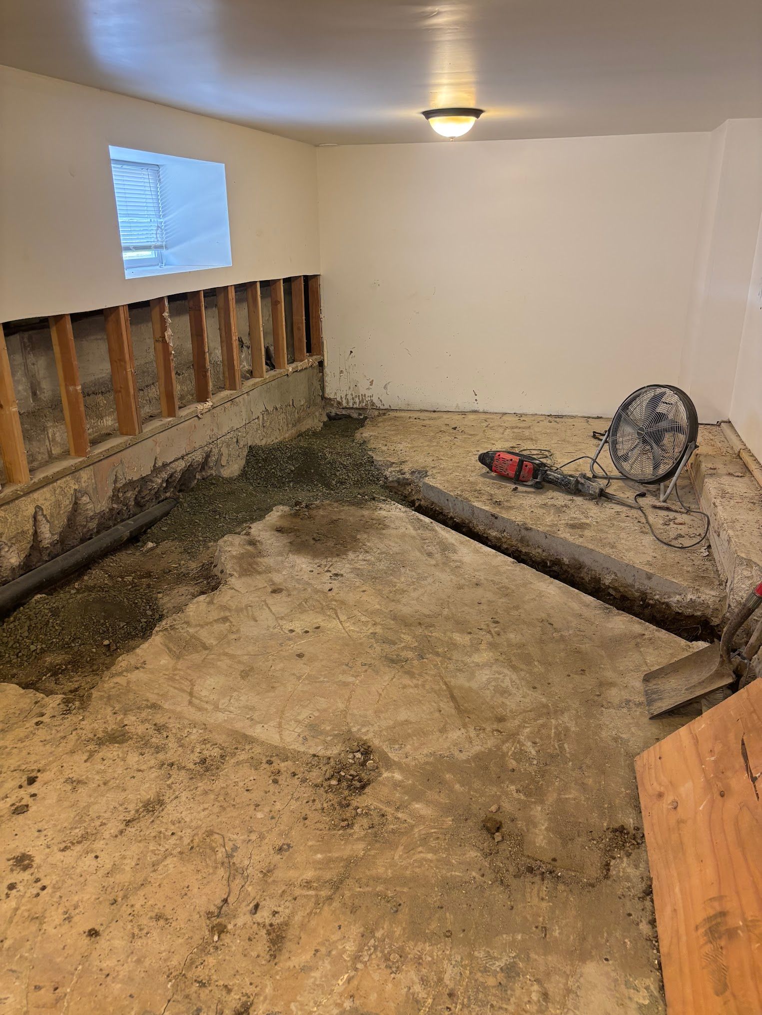 Basement room under construction. Concrete floor with trench, exposed wall studs, tools.