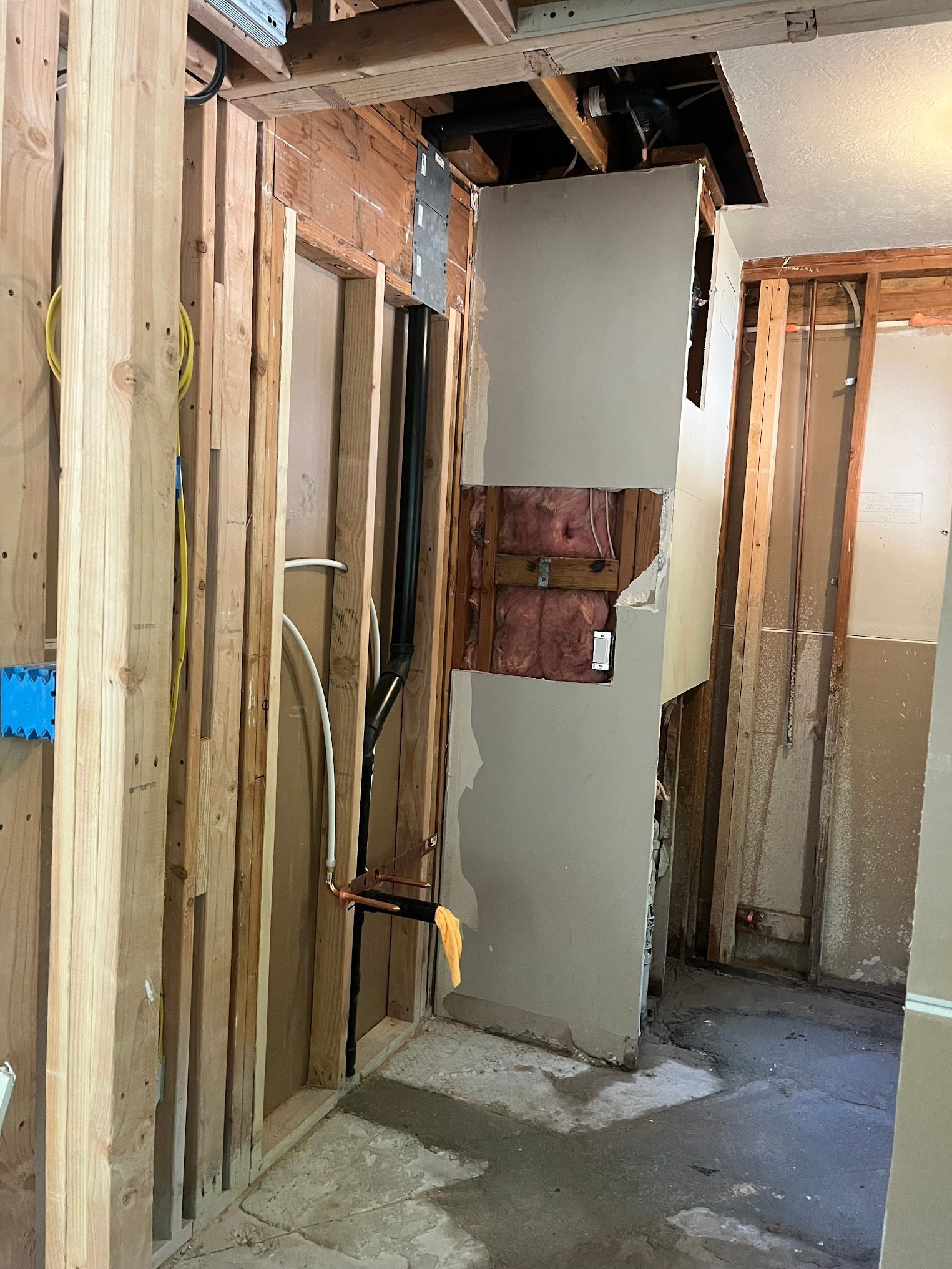 Interior demolition: exposed plumbing, studs, and partial drywall in a room with concrete floor.
