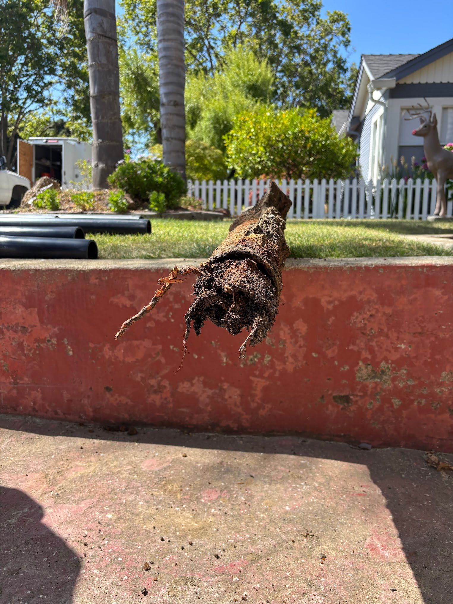 Log with exposed roots sits on a red brick wall. Lawn, white fence, and house in the background.