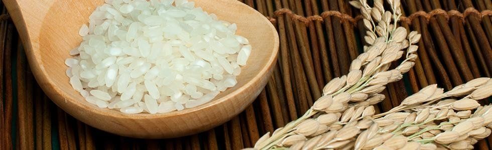 prodotti a base di riso