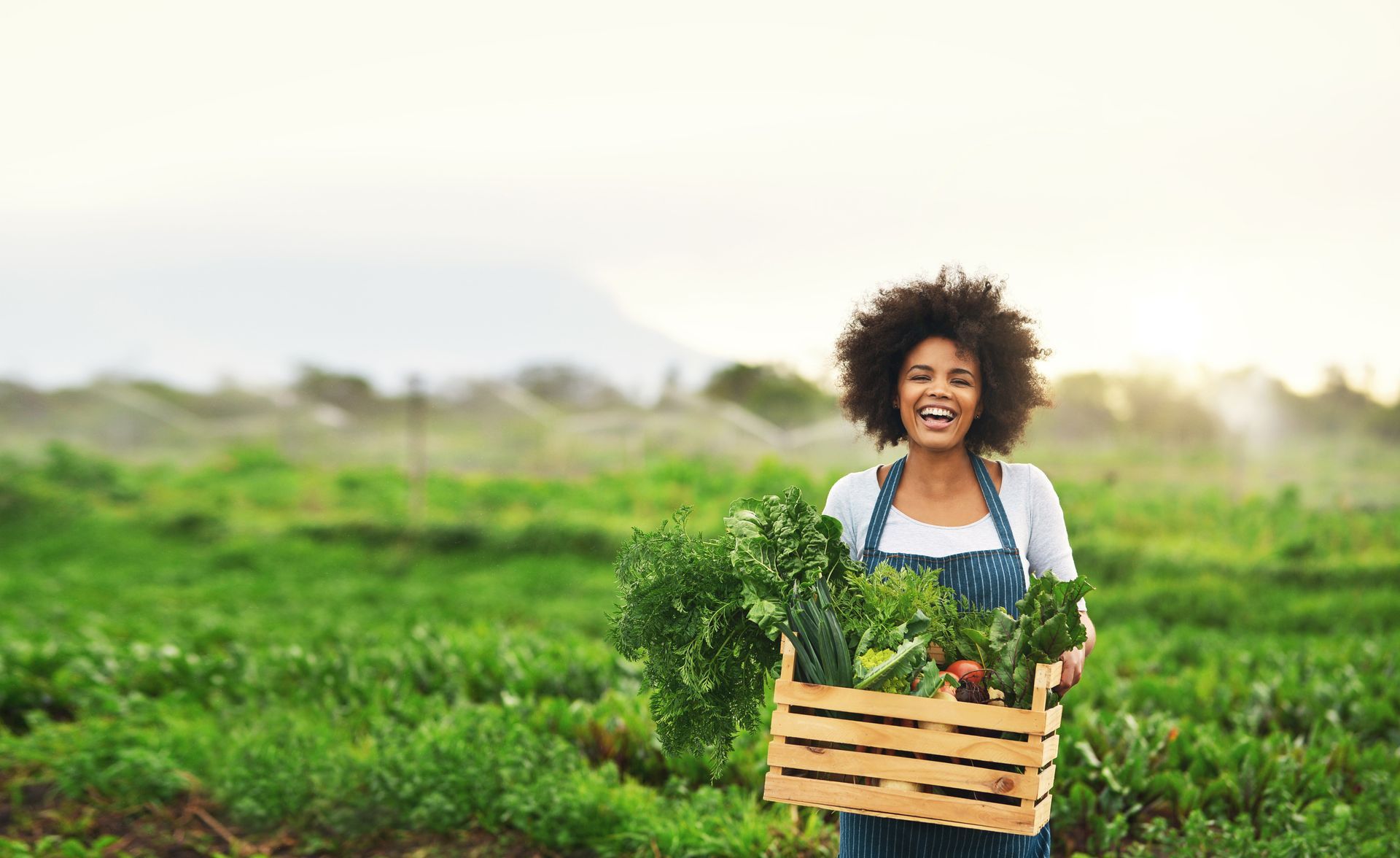 A woman is holding a basket of vegetables in a field.