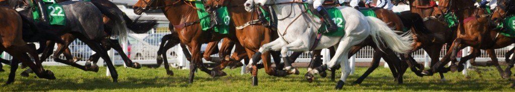 horse racing tips