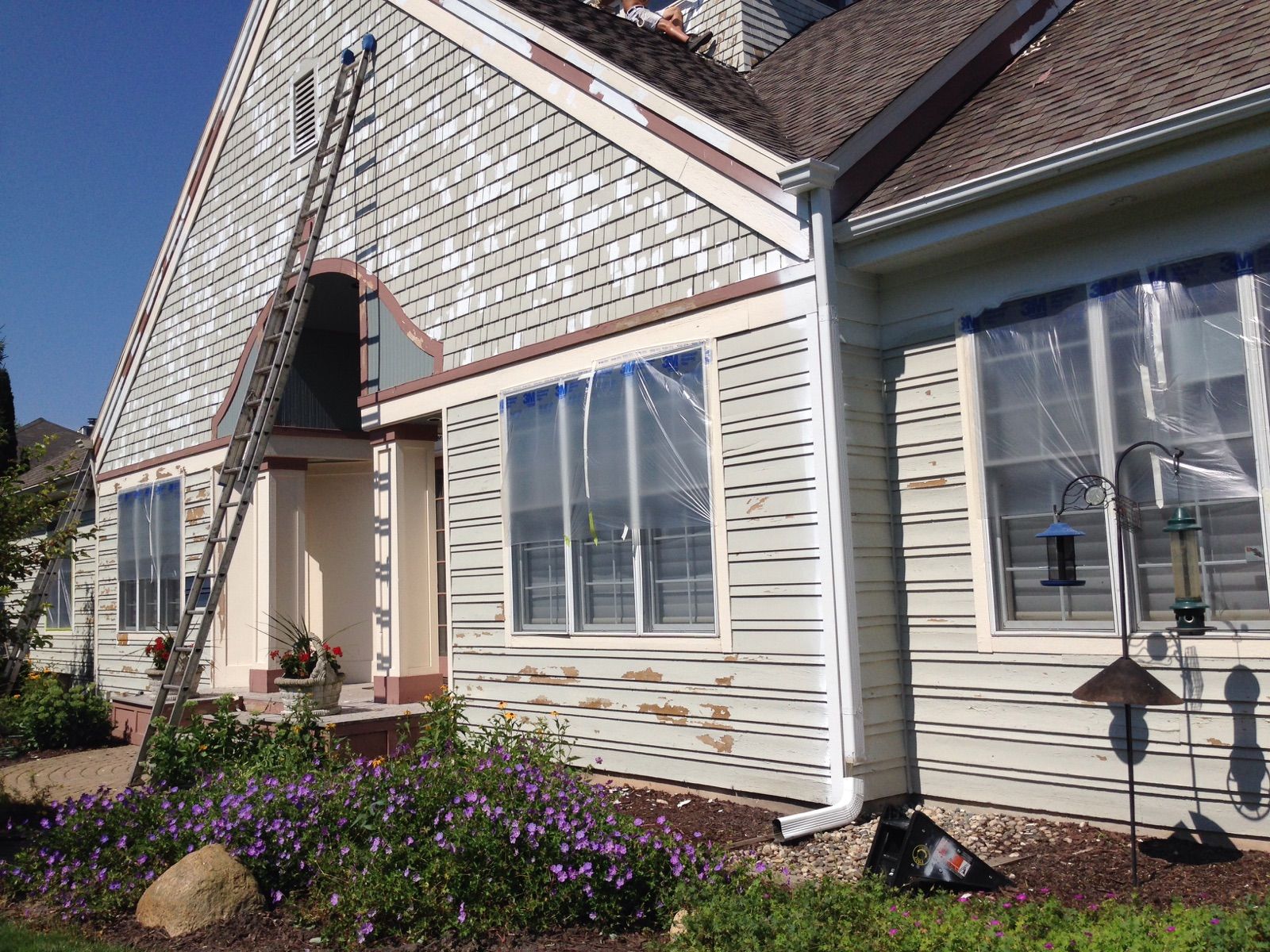 House exterior being painted, ladder against the shingles, windows covered with plastic, with purple flowers in front.