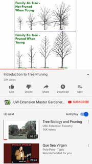Screenshot Of A YouTube Video Demonstrating Tree Planting Techniques - Benton City, WA - Aria Tree Service