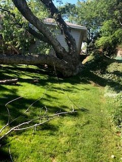 Fallen Tree In A Yard - Benton City, WA - Aria Tree Service