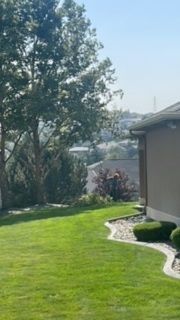 House With A Well-Maintained Yard And A Paved Driveway - Benton City, WA - Aria Tree Service