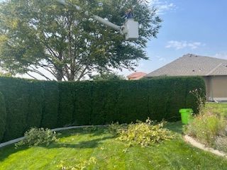 Serene Lawn With A Tree - Benton City, WA - Aria Tree Service