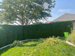 Serene Lawn With A Solitary Tree - Benton City, WA - Aria Tree Service