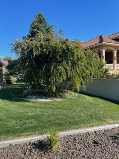 Spacious Home With A Vast Yard And A Driveway - Benton City, WA - Aria Tree Service
