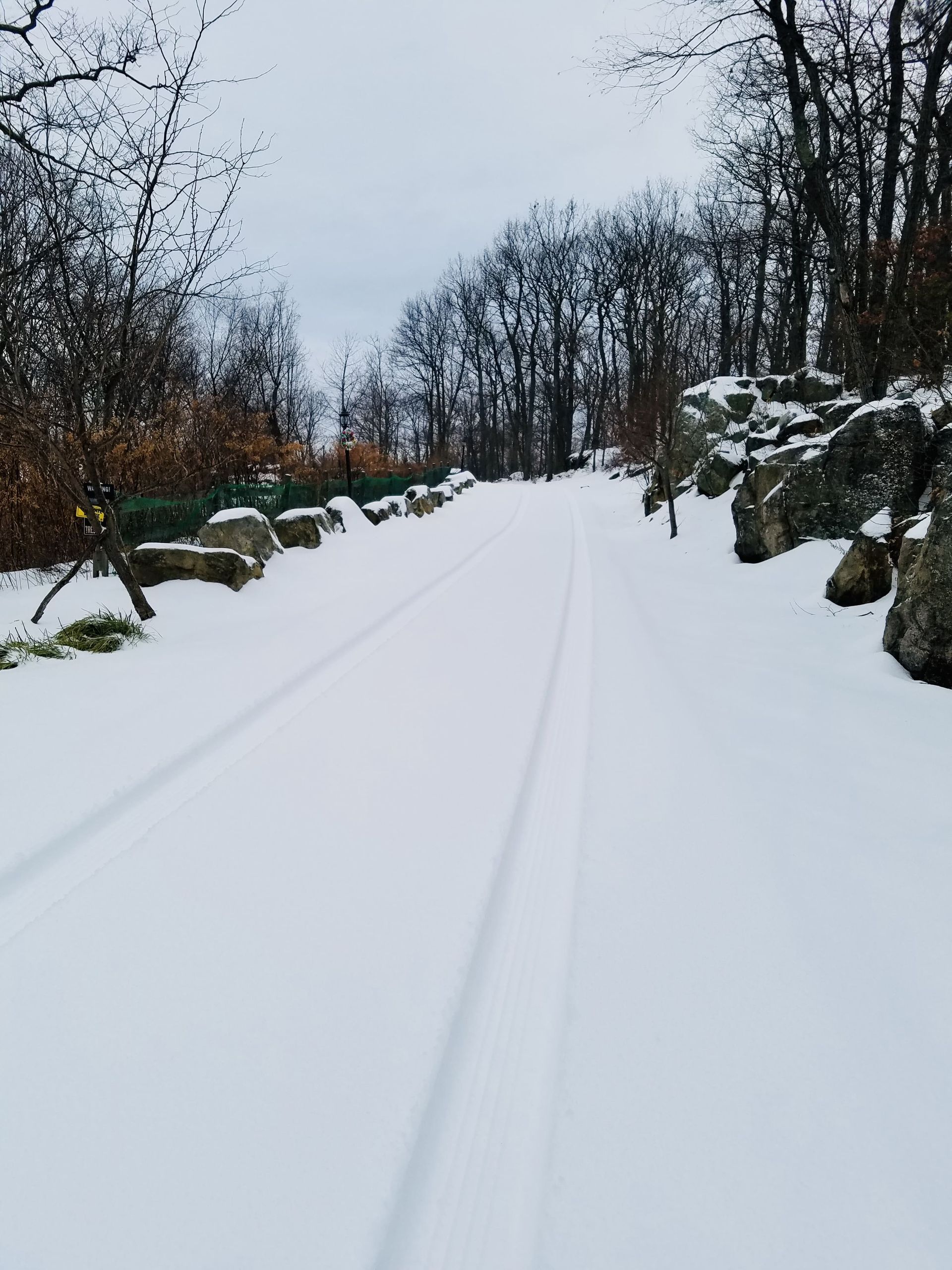 Snowy driveway