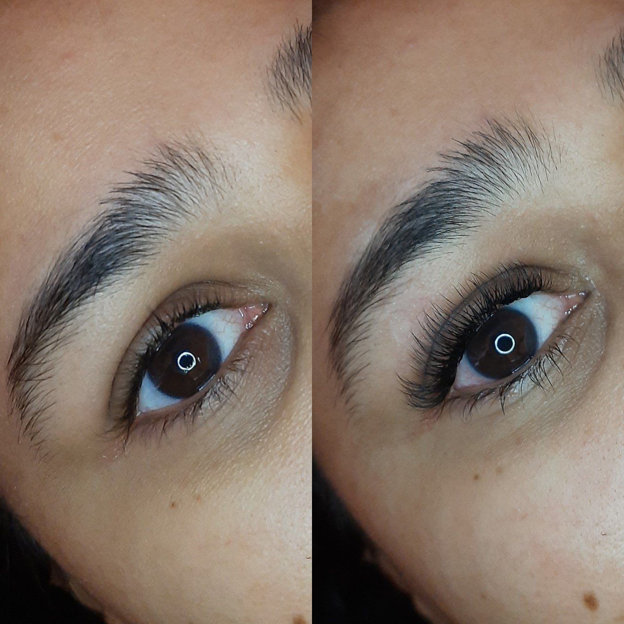lash extensions