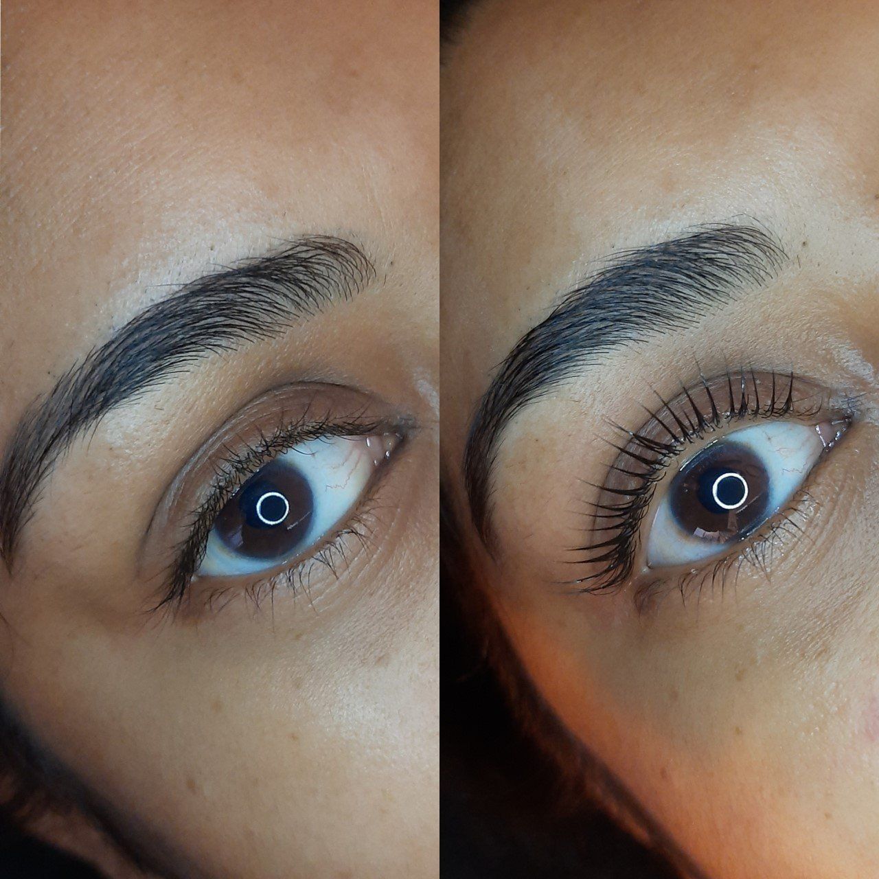 lash volume lift schalkwijk