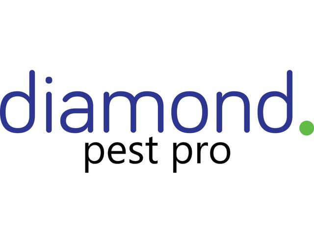 Demi-Diamond Clothes Moth Trap from Pest Expert – pestcontrolsupermarket