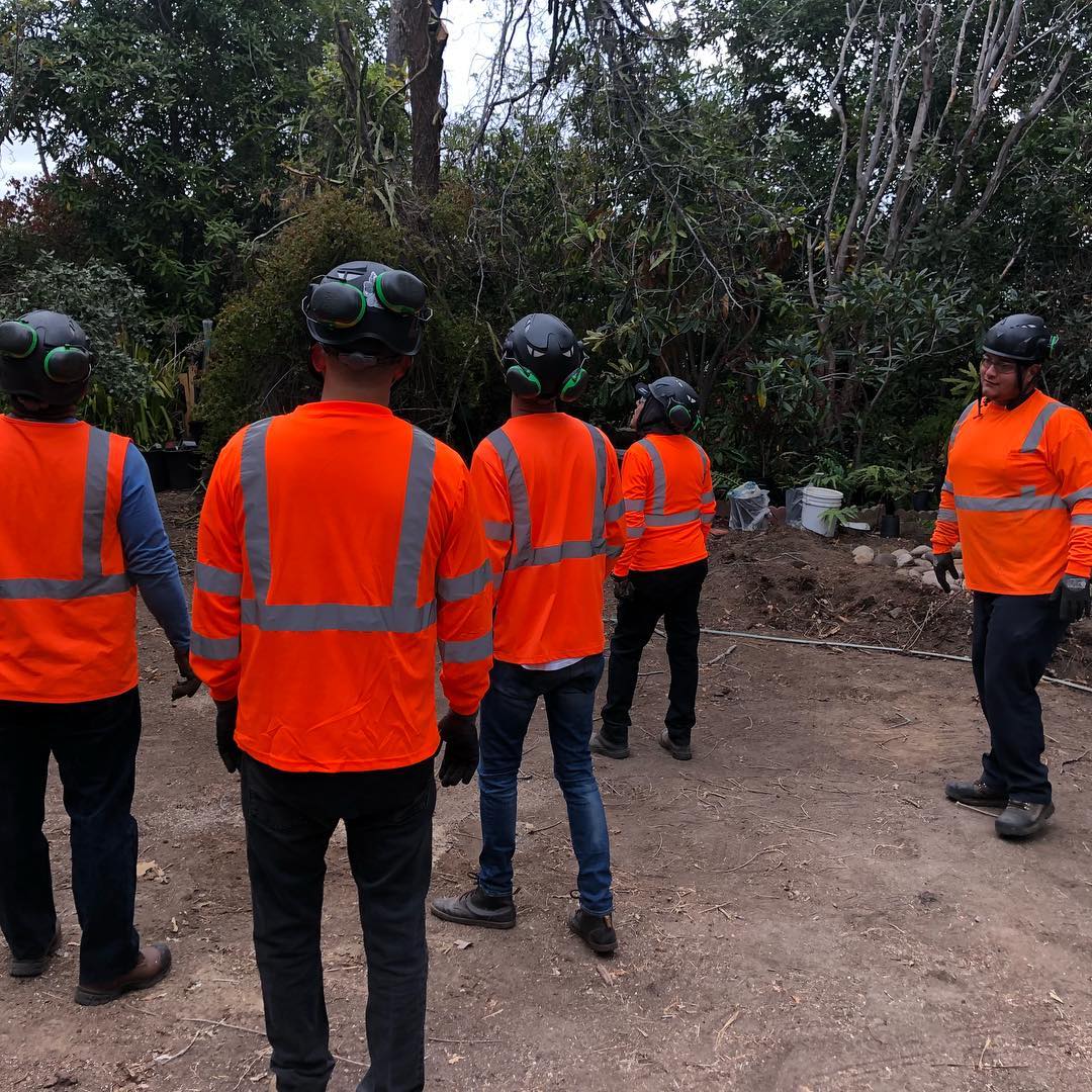 1 Tree Service San Diego CA Tree Removal San Diego CA